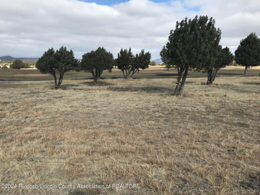 LOT 12 SPENCER ROAD, ALTO, NM 88312, photo 2 of 5