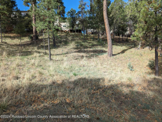 113 MARBLE DR, RUIDOSO, NM 88345, photo 3 of 3