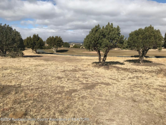LOT 12 SPENCER ROAD, ALTO, NM 88312, photo 5 of 5
