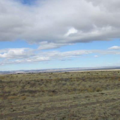 LOT 5 BASIN ROAD, CARRIZOZO, NM 88301, photo 4 of 7