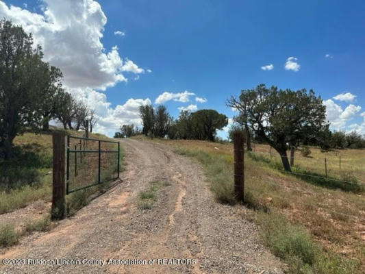 251 WINDMILL RD, ANCHO, NM 88301, photo 4 of 78