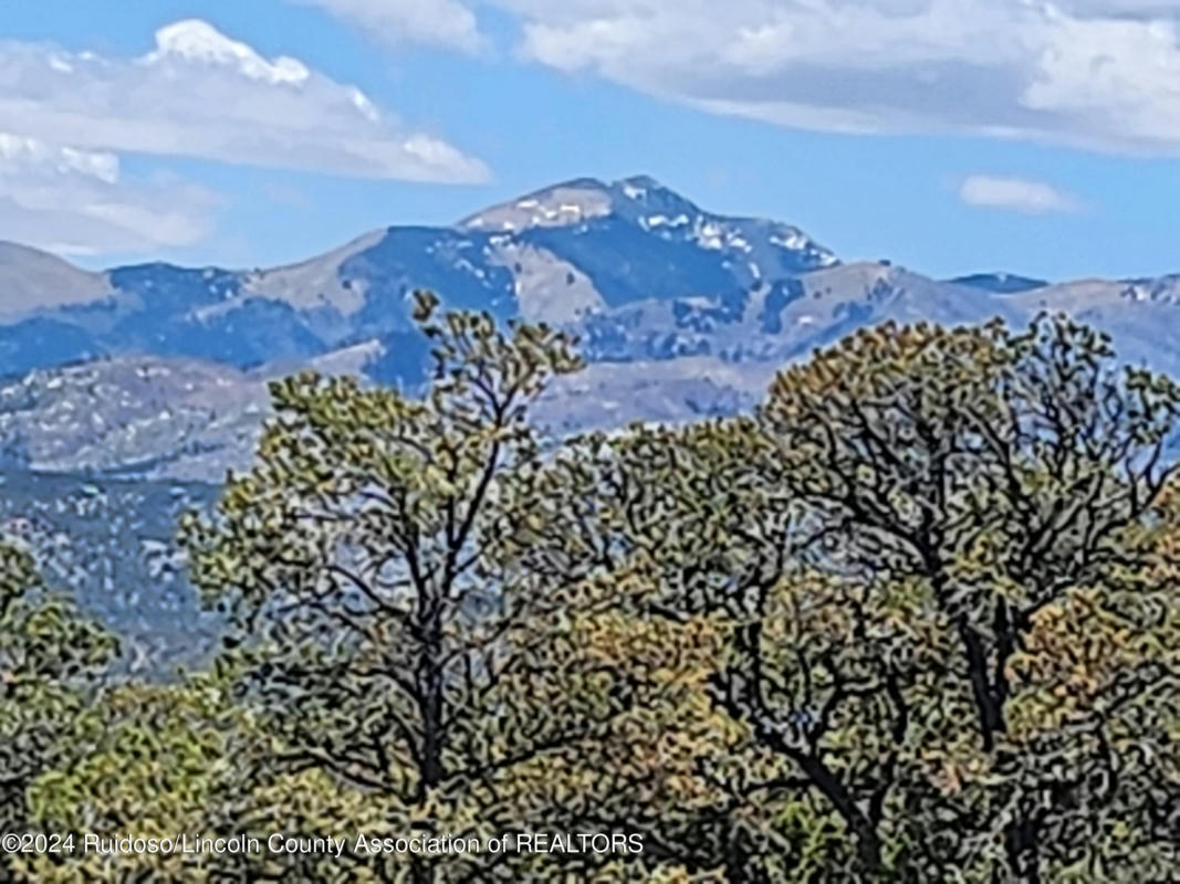 LOT 11A LONE WOLF TRAIL, ALTO, NM 88312, photo 1 of 15