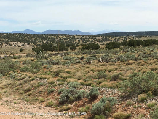LT. 69 FENCELINE ROAD, ANCHO, NM 88301, photo 5 of 6