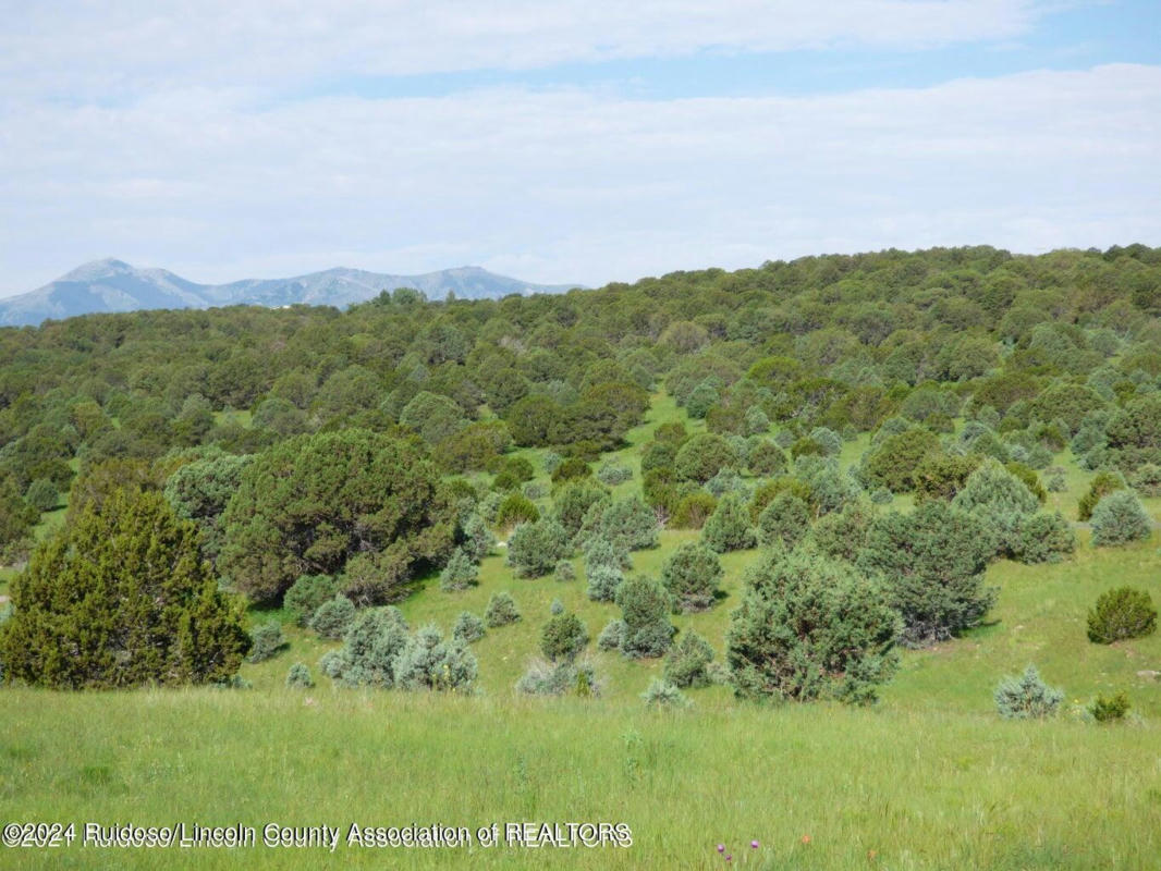 LOT5,BLK3 RAINMAKERS DR., ALTO, NM 88312, photo 1 of 14