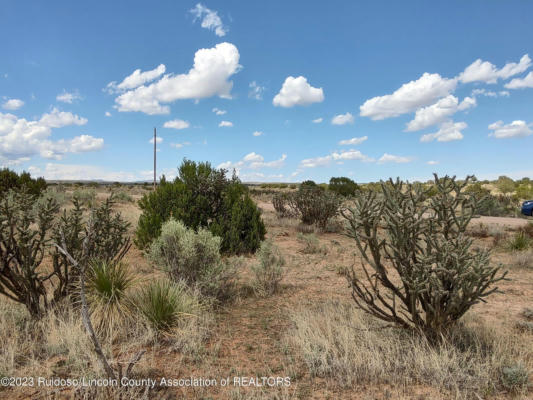 L27 WINDMILL ROAD, ANCHO, NM 88301, photo 4 of 9