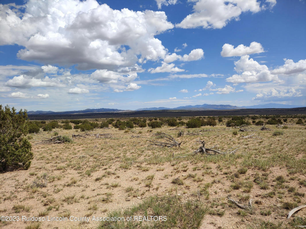 33 WINDMILL ROAD, ANCHO, NM 88301, photo 1 of 16