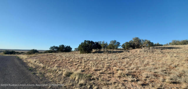 269 WINDMILL RD, ANCHO, NM 88301 - Image 1