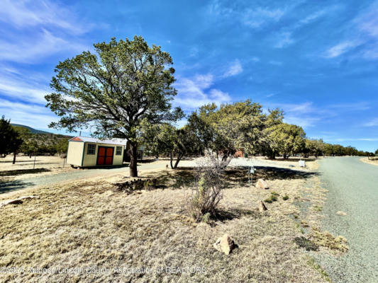 121 CREST VIEW RD, CAPITAN, NM 88316, photo 5 of 33
