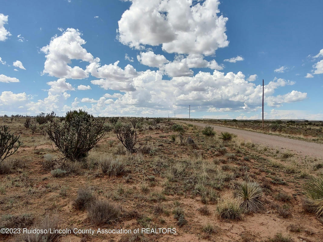 L27 WINDMILL ROAD, ANCHO, NM 88301, photo 1 of 9