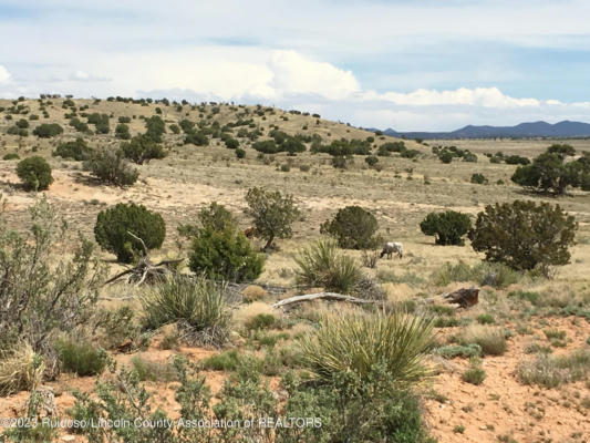 LT. 69 FENCELINE ROAD, ANCHO, NM 88301, photo 2 of 6