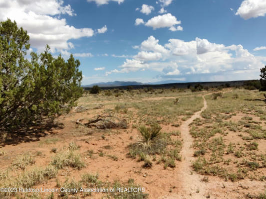 33 WINDMILL ROAD, ANCHO, NM 88301, photo 5 of 16