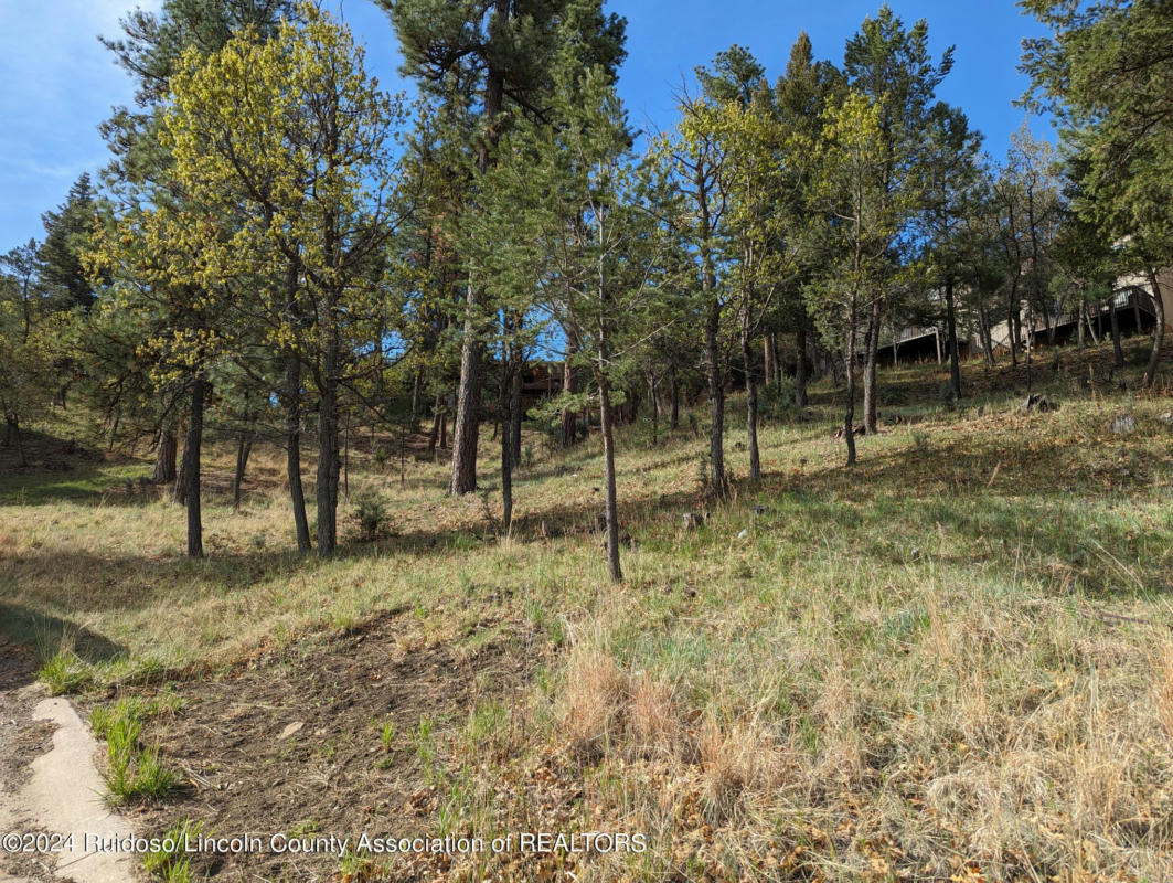 113 MARBLE DR, RUIDOSO, NM 88345, photo 1 of 3