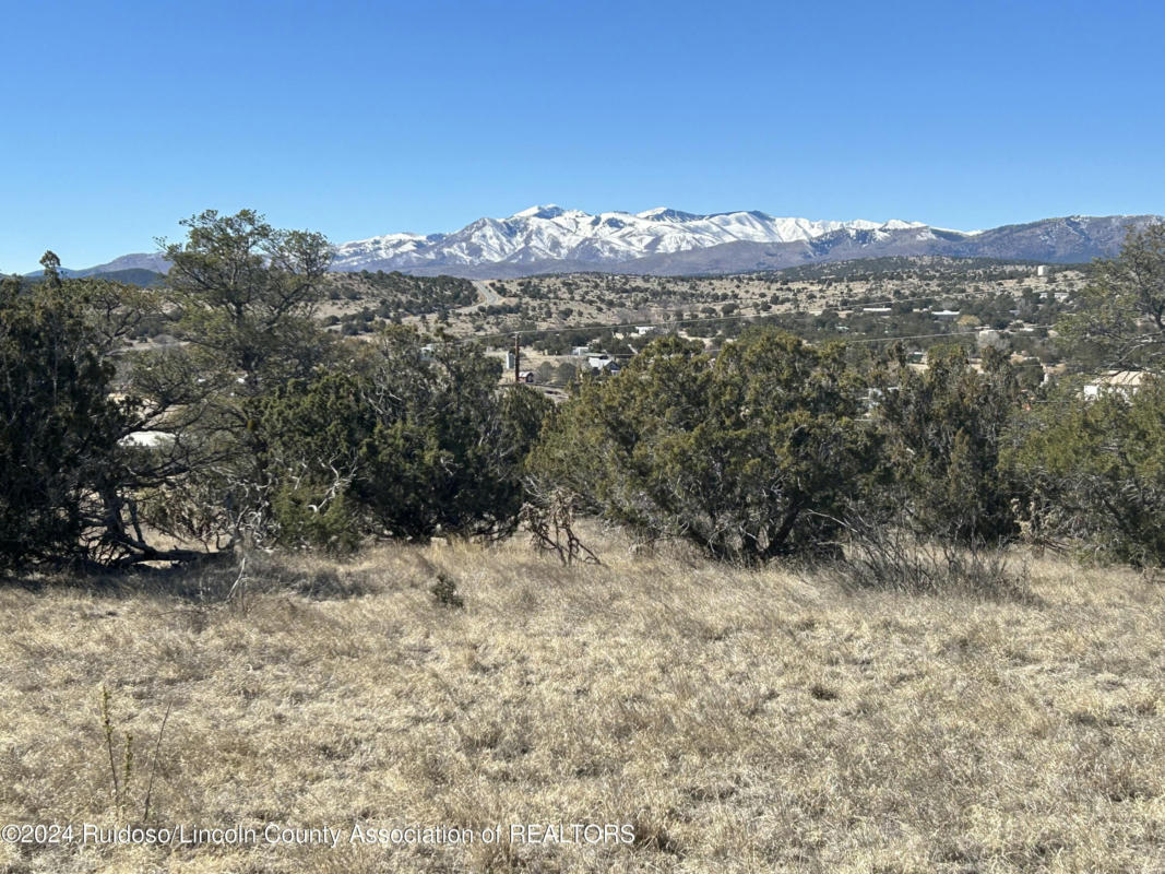 109 CREST VIEW RD, CAPITAN, NM 88316, photo 1 of 17