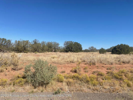 211 WINDMILL RD, ANCHO, NM 88301, photo 2 of 4