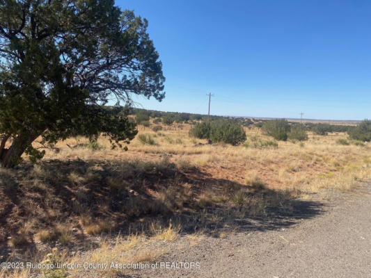 211 WINDMILL RD, ANCHO, NM 88301, photo 4 of 4