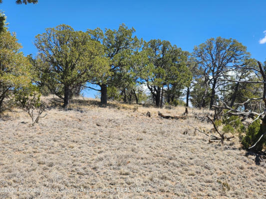 LOT 11A LONE WOLF TRAIL, ALTO, NM 88312, photo 3 of 15