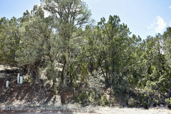 LOT 7 BUTCH CASSIDY CT., ALTO, NM 88312, photo 2 of 4