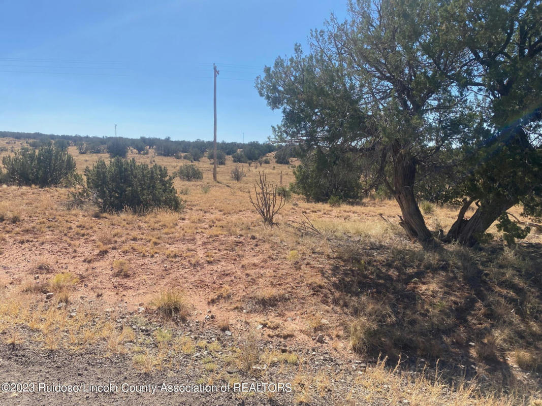 211 WINDMILL RD, ANCHO, NM 88301, photo 1 of 4