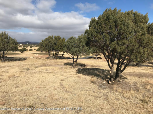 LOT 9 SPENCER ROAD, ALTO, NM 88312, photo 2 of 6