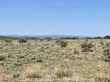 262 FENCELINE RD, ANCHO, NM 88301 - Image 1