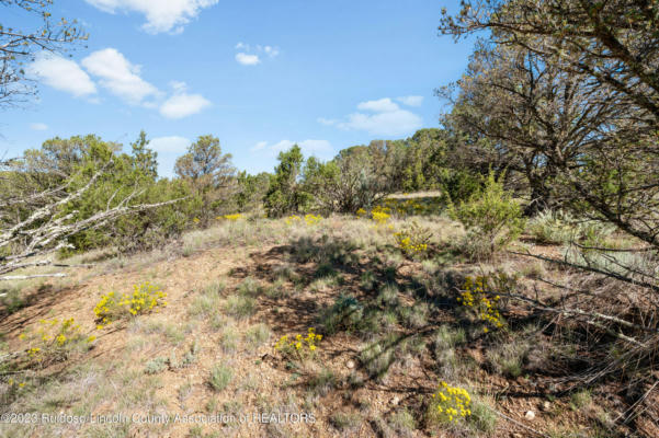 LOT A STATE HWY 37, NOGAL, NM 88341, photo 2 of 17