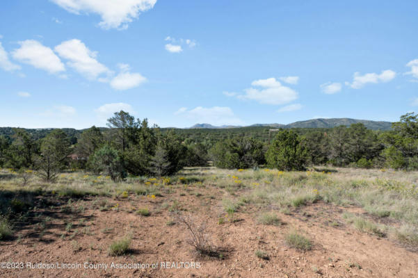 LOT A STATE HWY 37, NOGAL, NM 88341 - Image 1